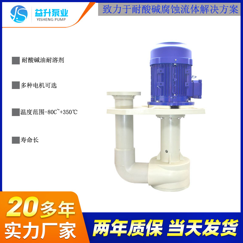 槽內(nèi)立式泵